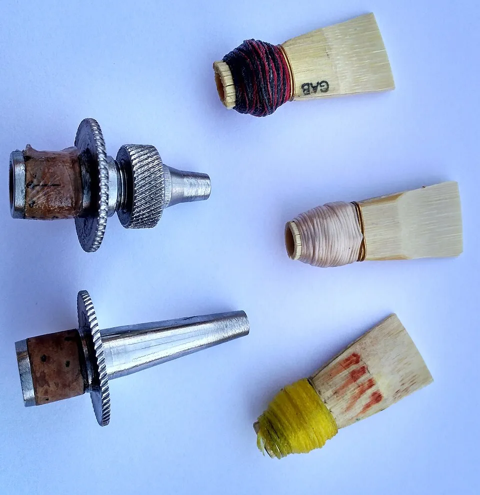 Tudells i canyes de dolçaina - les llengüetes dobles